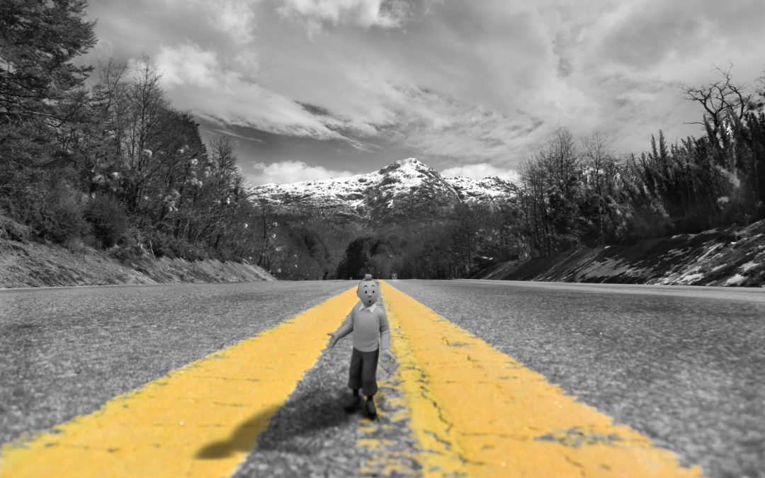 Tintín (Villa La Angostura)