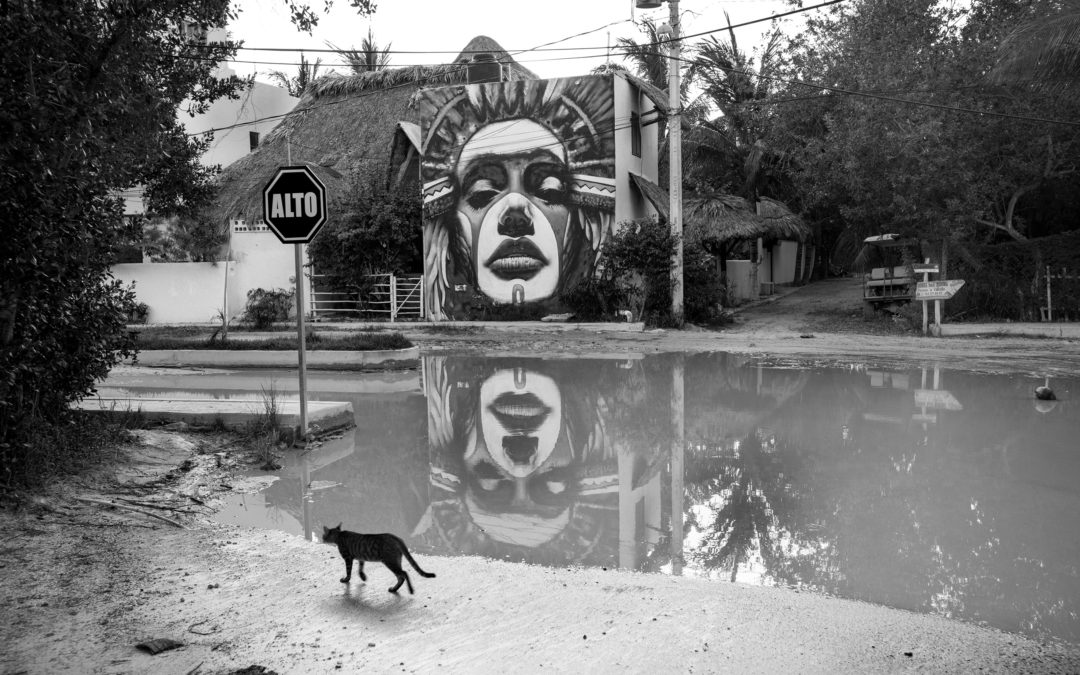 La Dama Y El Saxo Alto