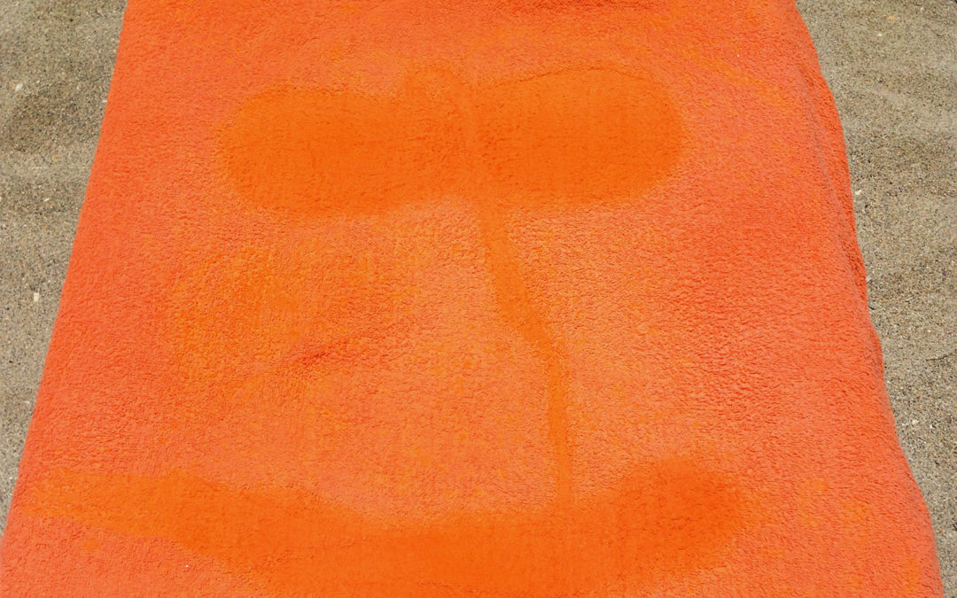 Anatomical Footprints