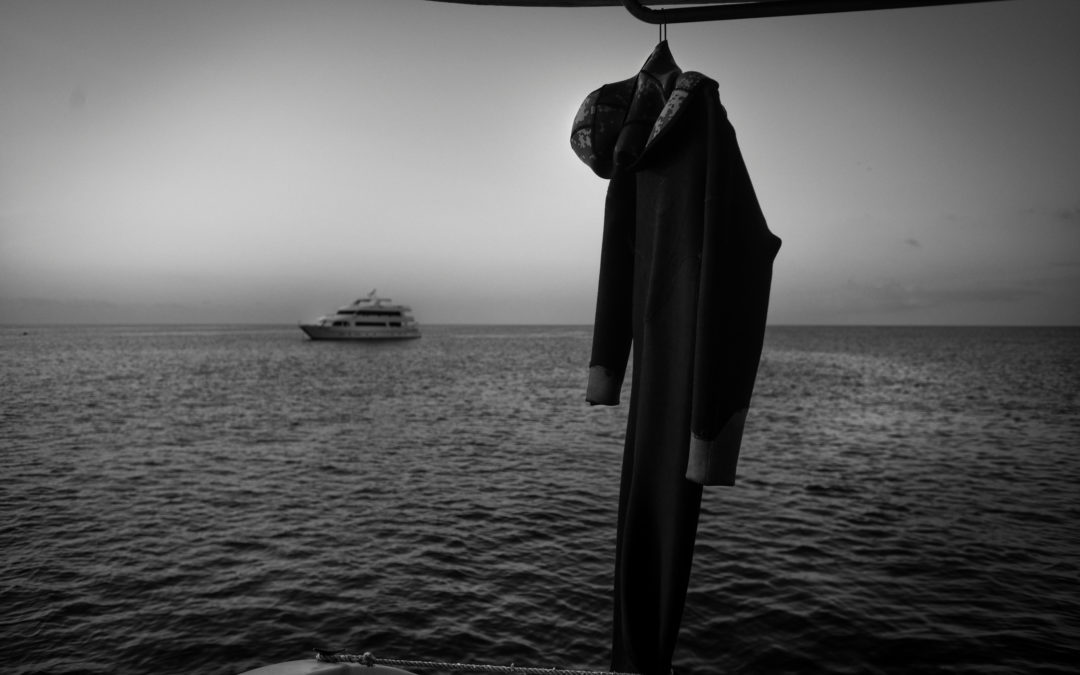 El Suicidio Del Buzo