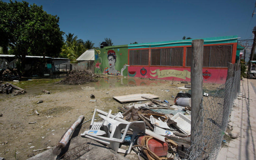 Frida Abandonada (Chiquillá)