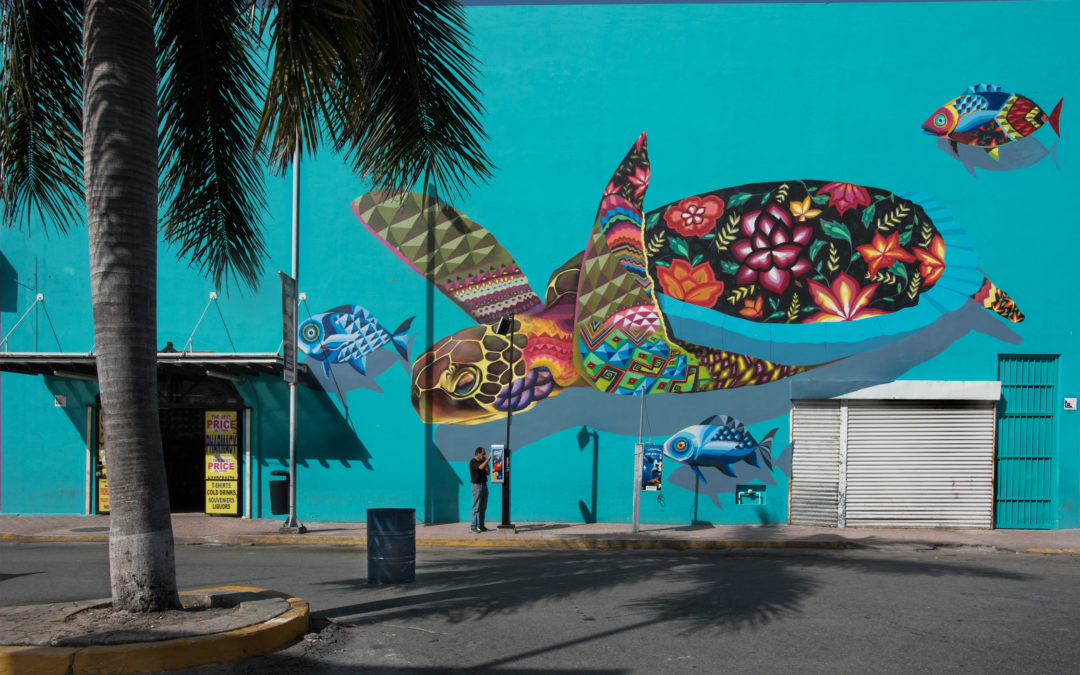 Pared Tortuga (Playa Del Carmen)