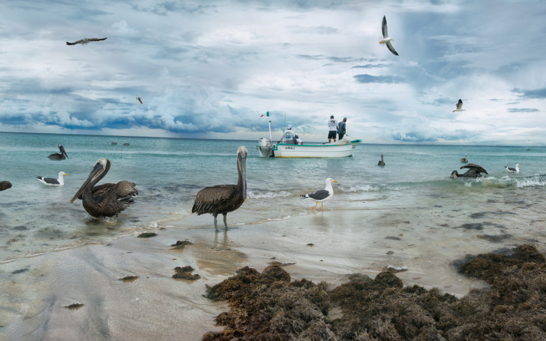 Playa Balandra (México)
