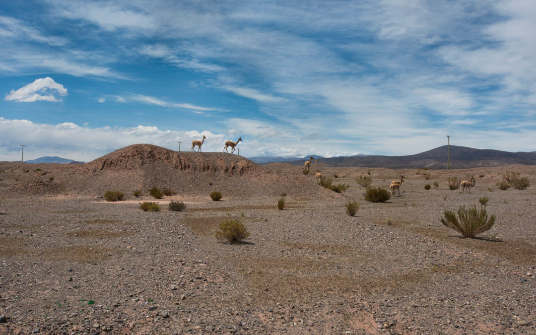 Tres Morros (Argentina) desierto