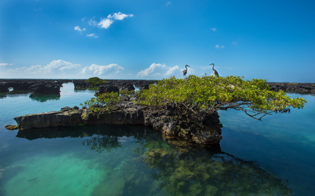 Tuneles Isla Isabela (Galápagos)