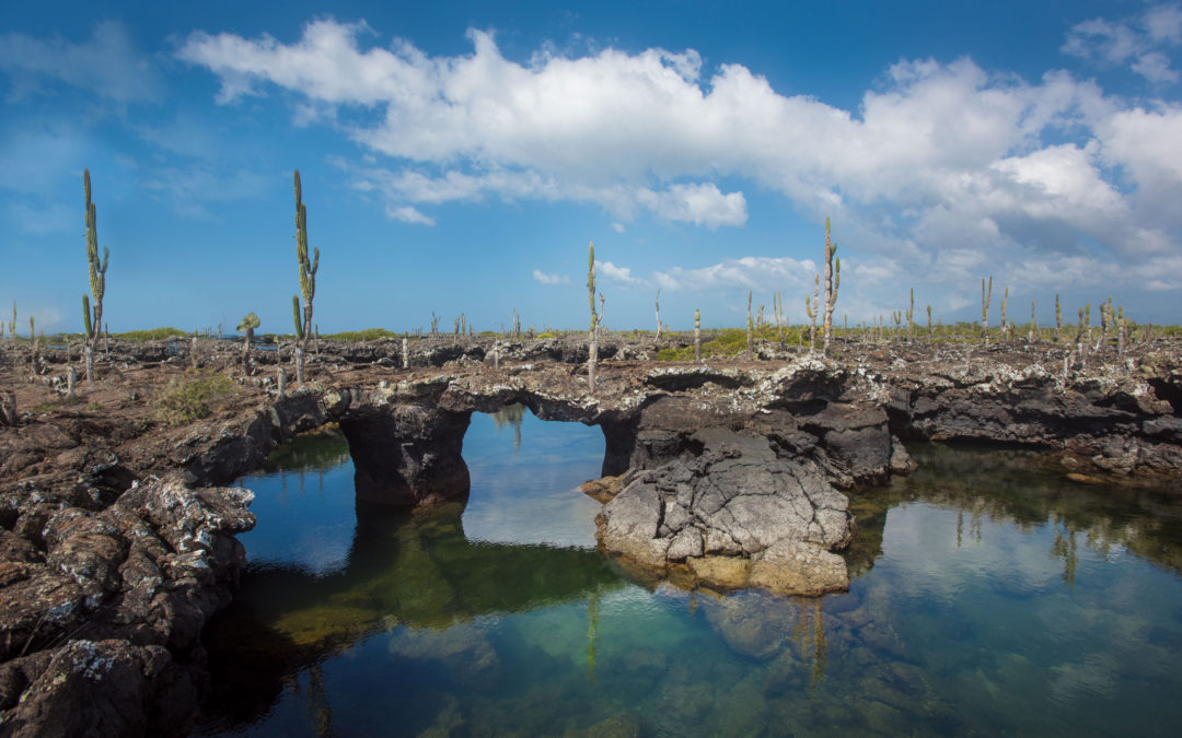 Túneles Isla Isabela 2 (Islas Galápagos)